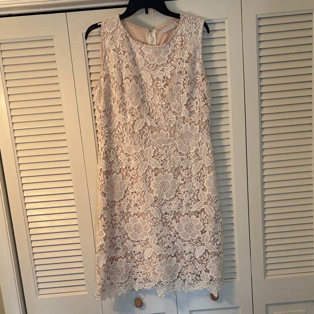 New York & Company Lace Mini Dress - Cream